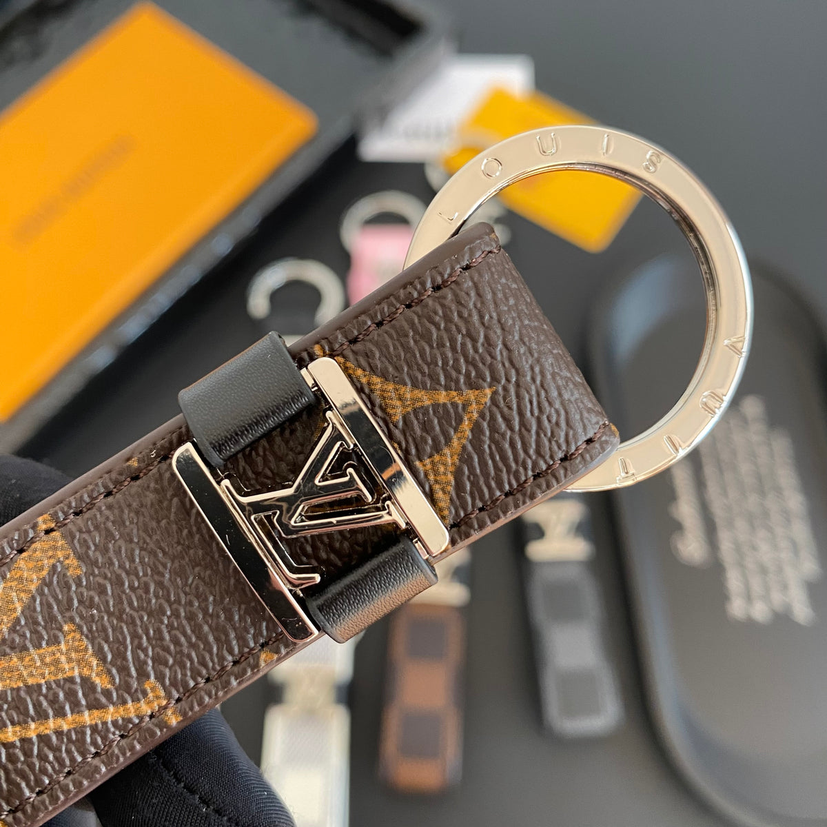 Close-up of silver-tone LV detail on brown key holder